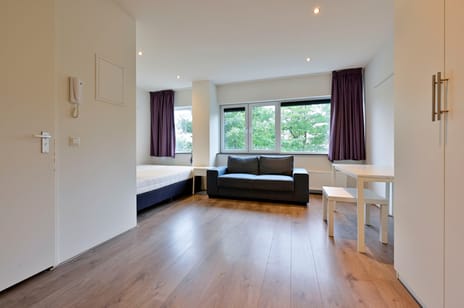 Van Heenvlietlaan thumbnail