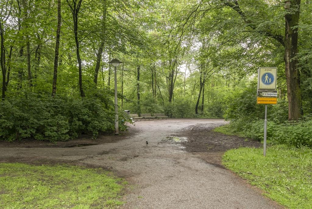 Foto 27 van Nachtwachtlaan 443