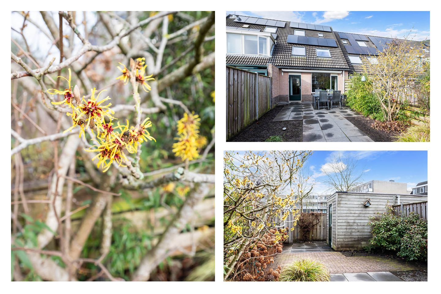 Foto 19 van Korenmolen 149