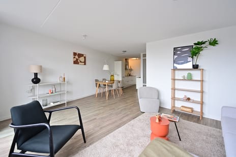 Plein 2000 101 tertiary image