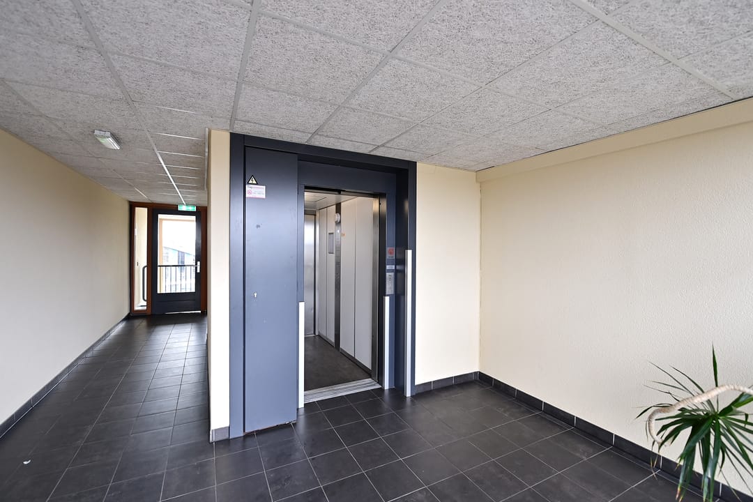 Foto 17 van Plein 2000 101