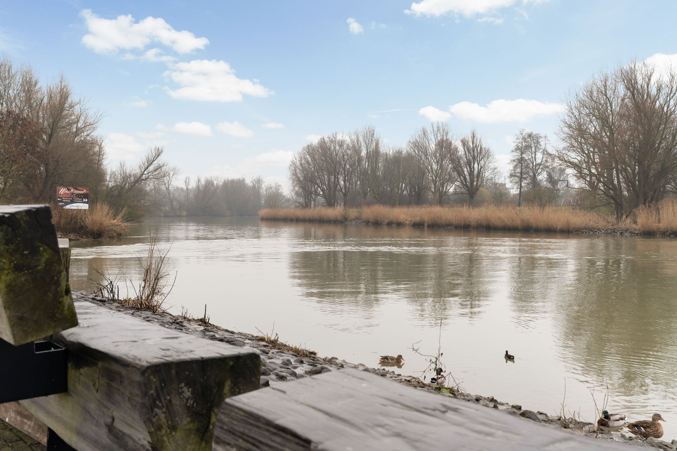 Foto 39 van Merbau 106