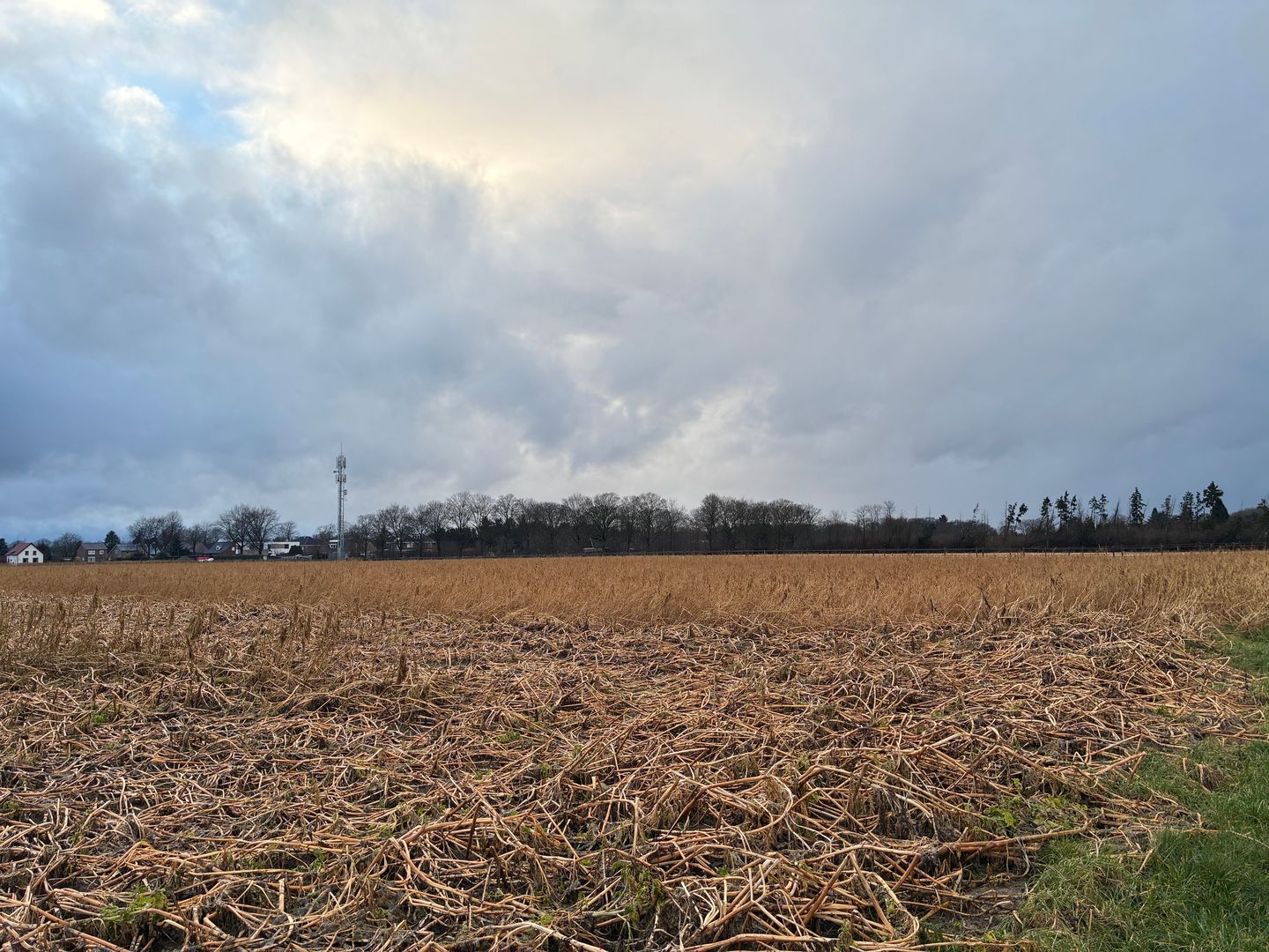 Bekijk foto 3 van Haverterstraat