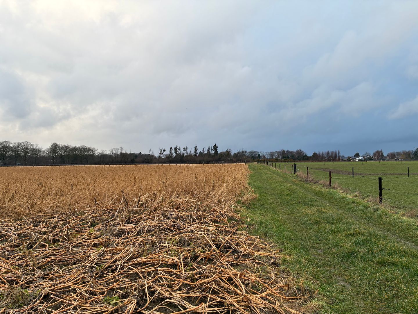 Bekijk foto 5 van Haverterstraat