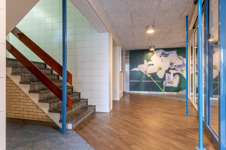 Foto 30 van Pinksterbloemweg 261