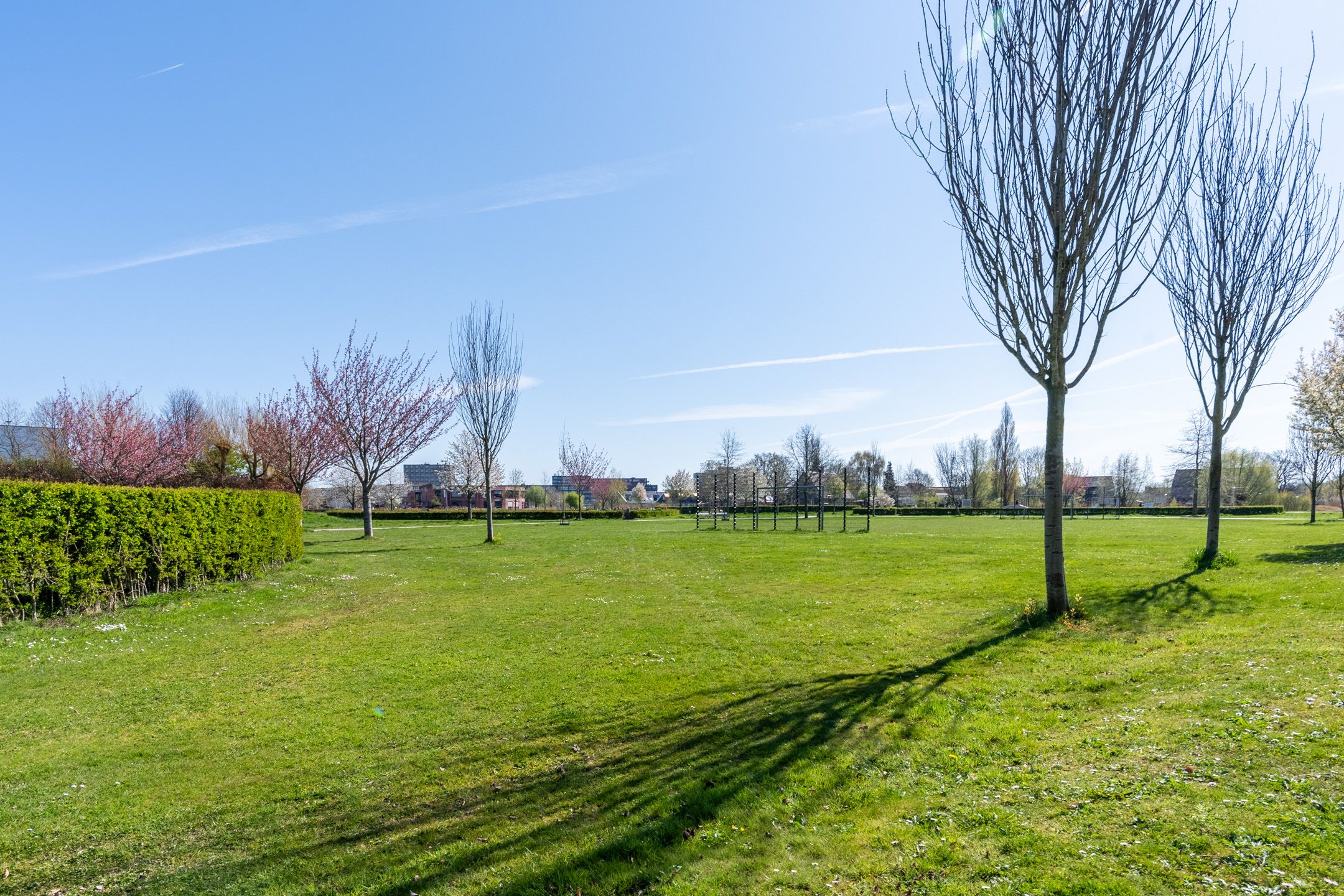 Foto 6 van Nijenhuislaan 19