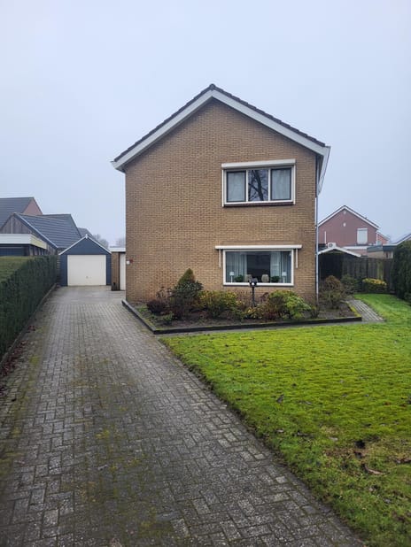 undefined main image