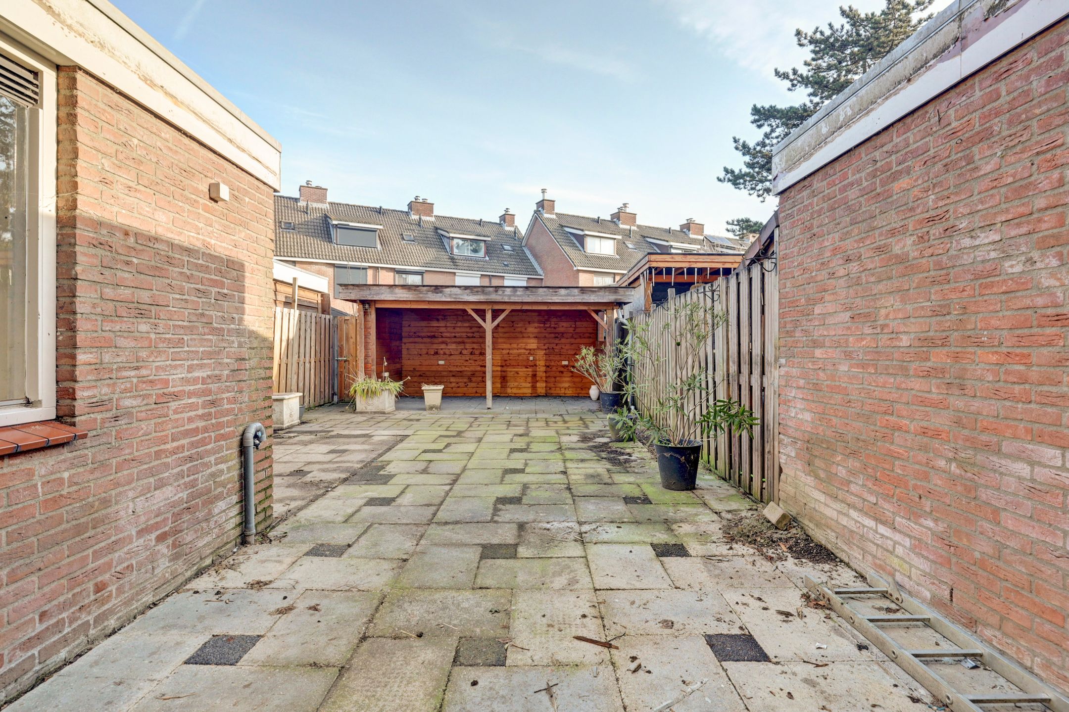 Foto 36 van Pijlstaart 7