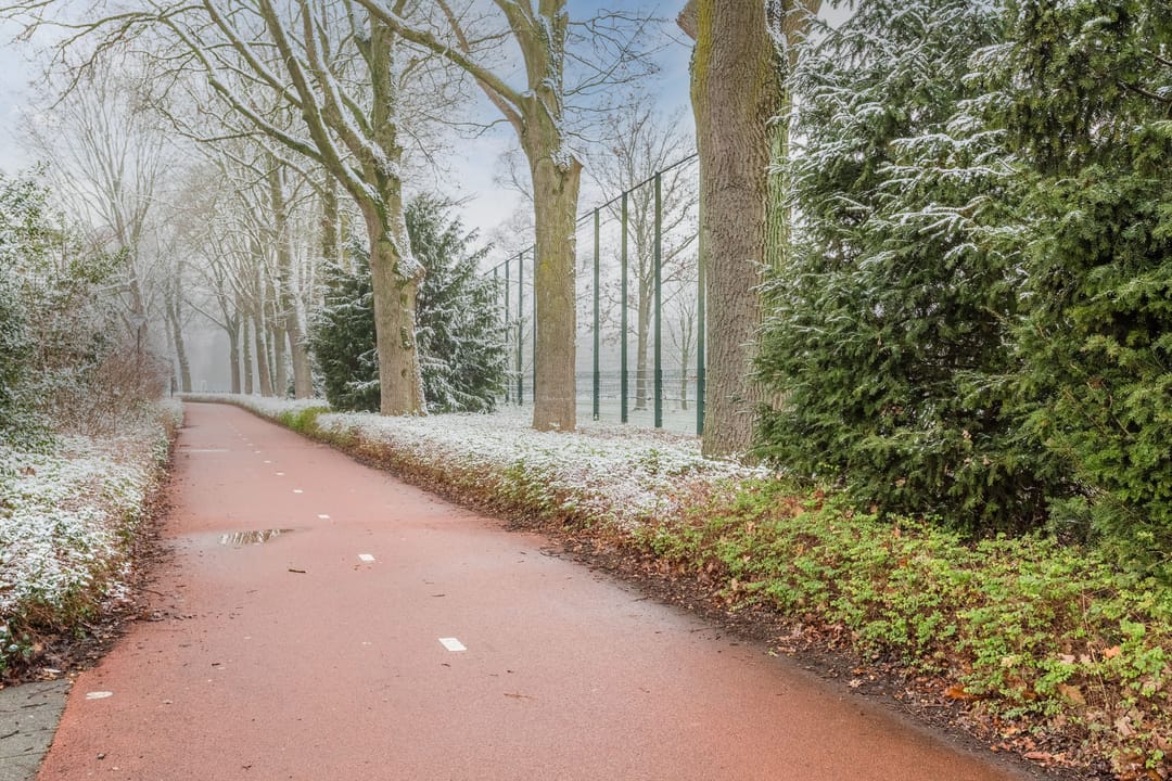 Foto 47 van Dolik 11