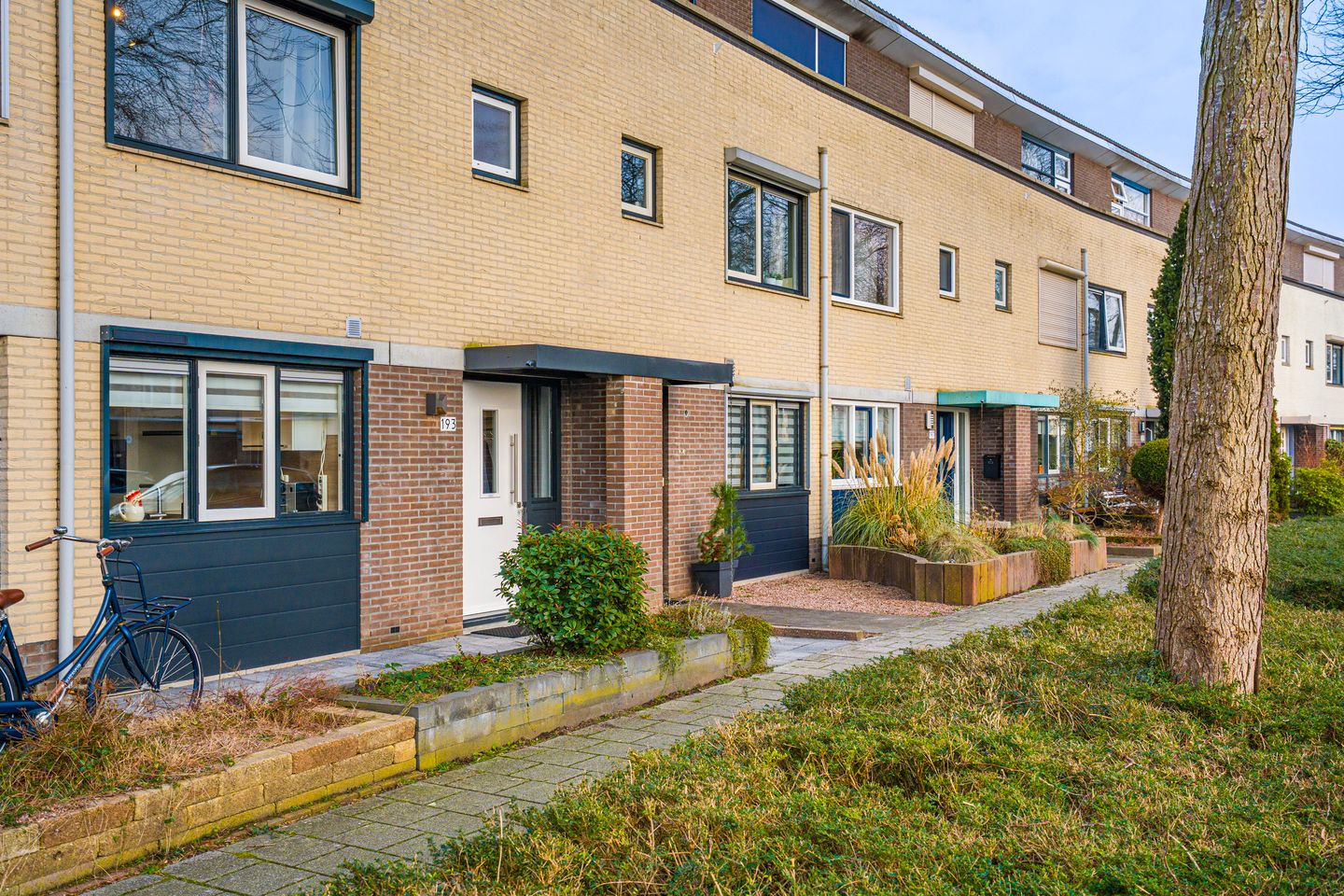 Photo 4 of Ien Dalessingel 193