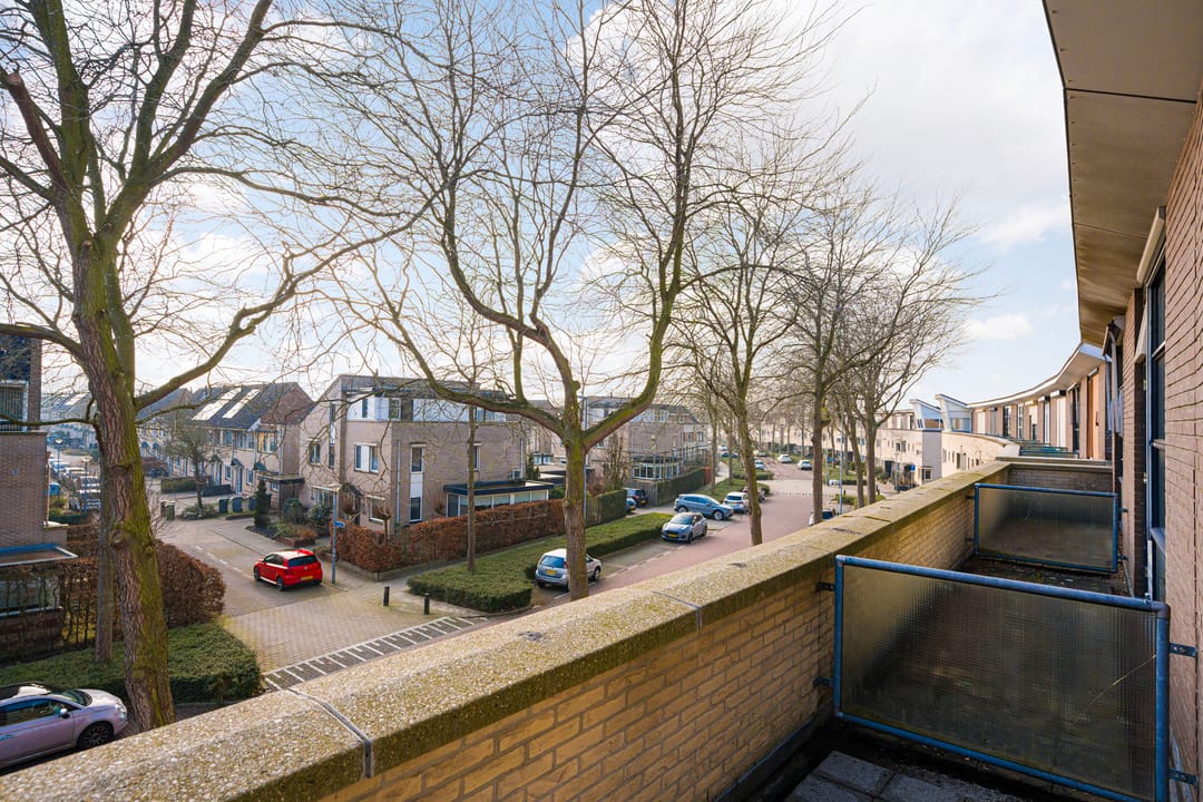 Photo 26 of Ien Dalessingel 193