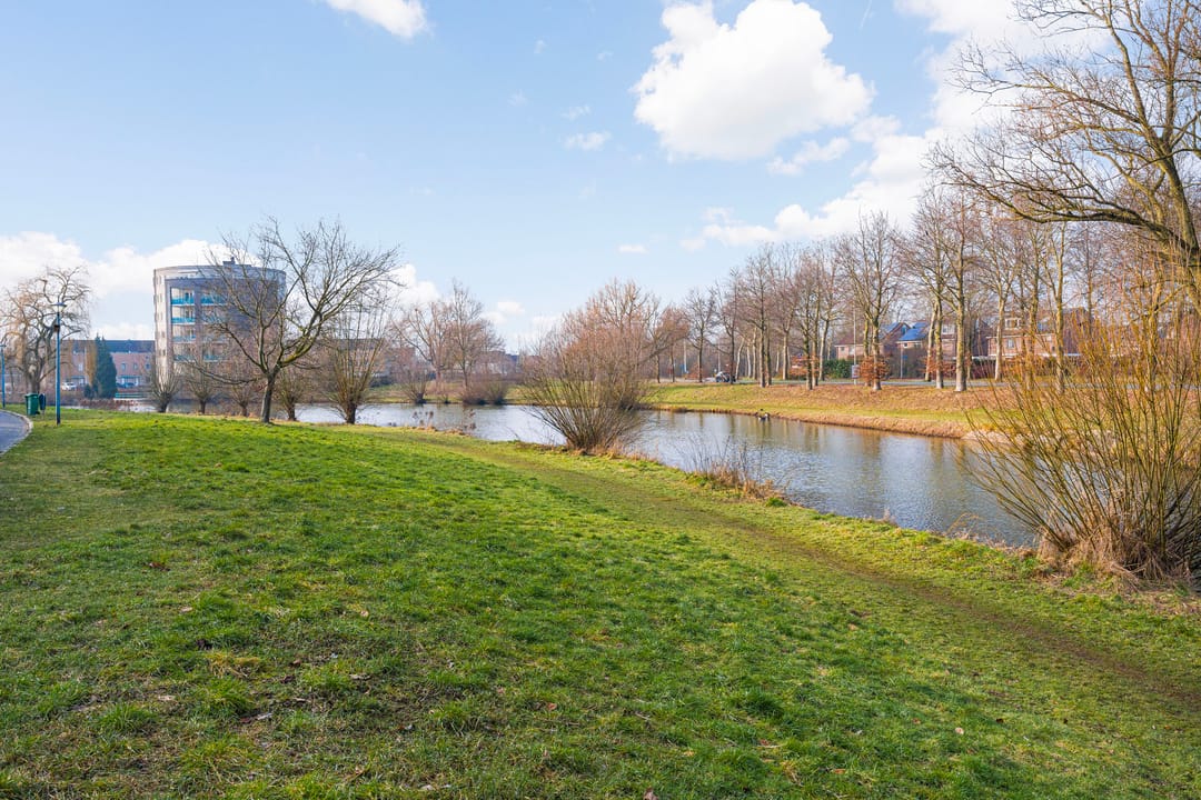 Photo 28 of Ien Dalessingel 193