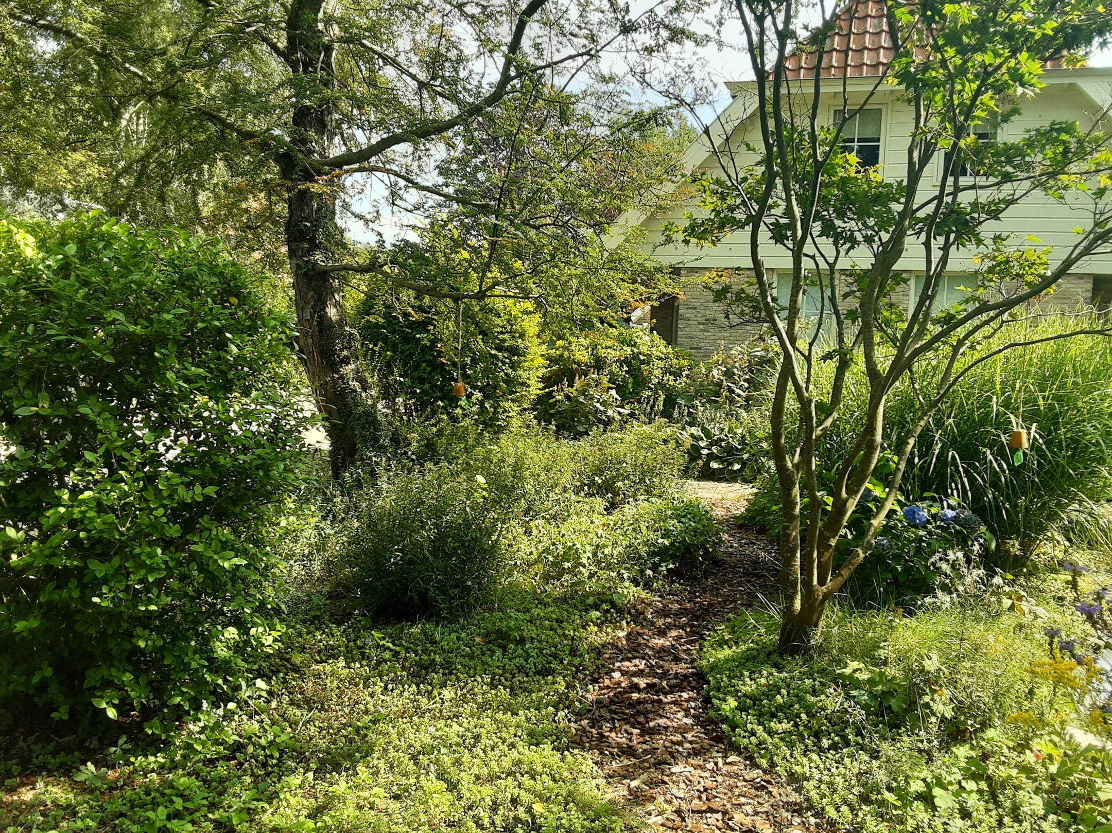 Foto 36 van Schuinpad 40