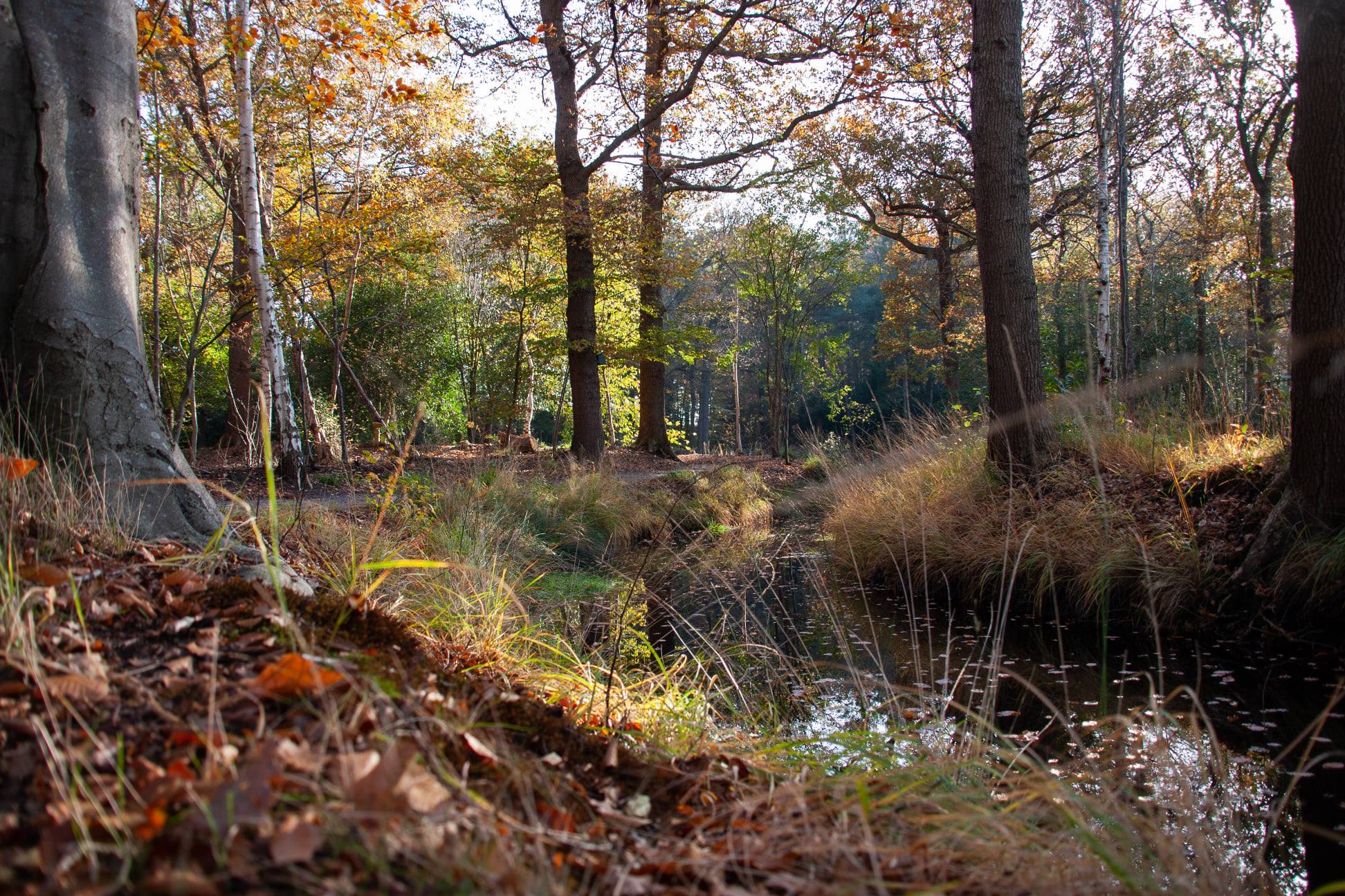 Foto 57 van Schuinpad 40