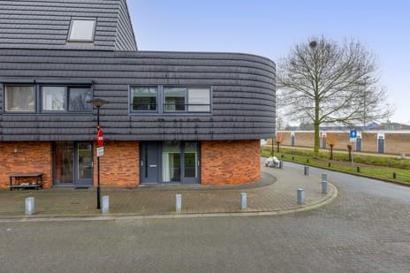 undefined main image