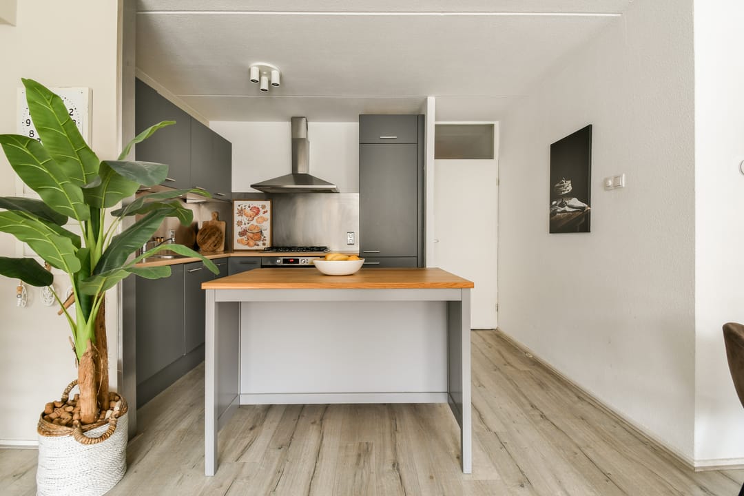 Foto 11 van Zuider Buiten Spaarne 50