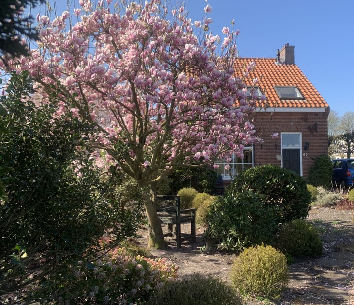 Photo 75 of Westbroekse Binnenweg 86