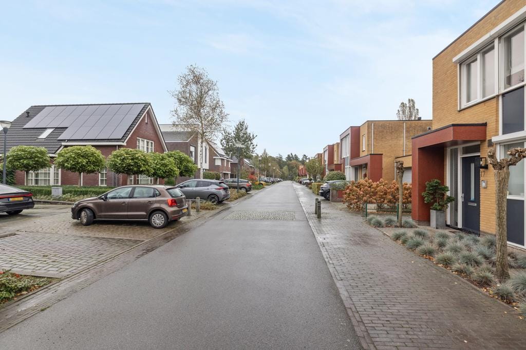 Foto 35 van Grasfonteinkruid 15