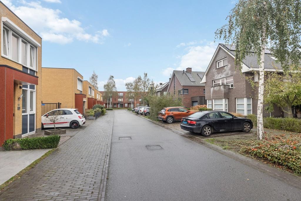 Foto 36 van Grasfonteinkruid 15