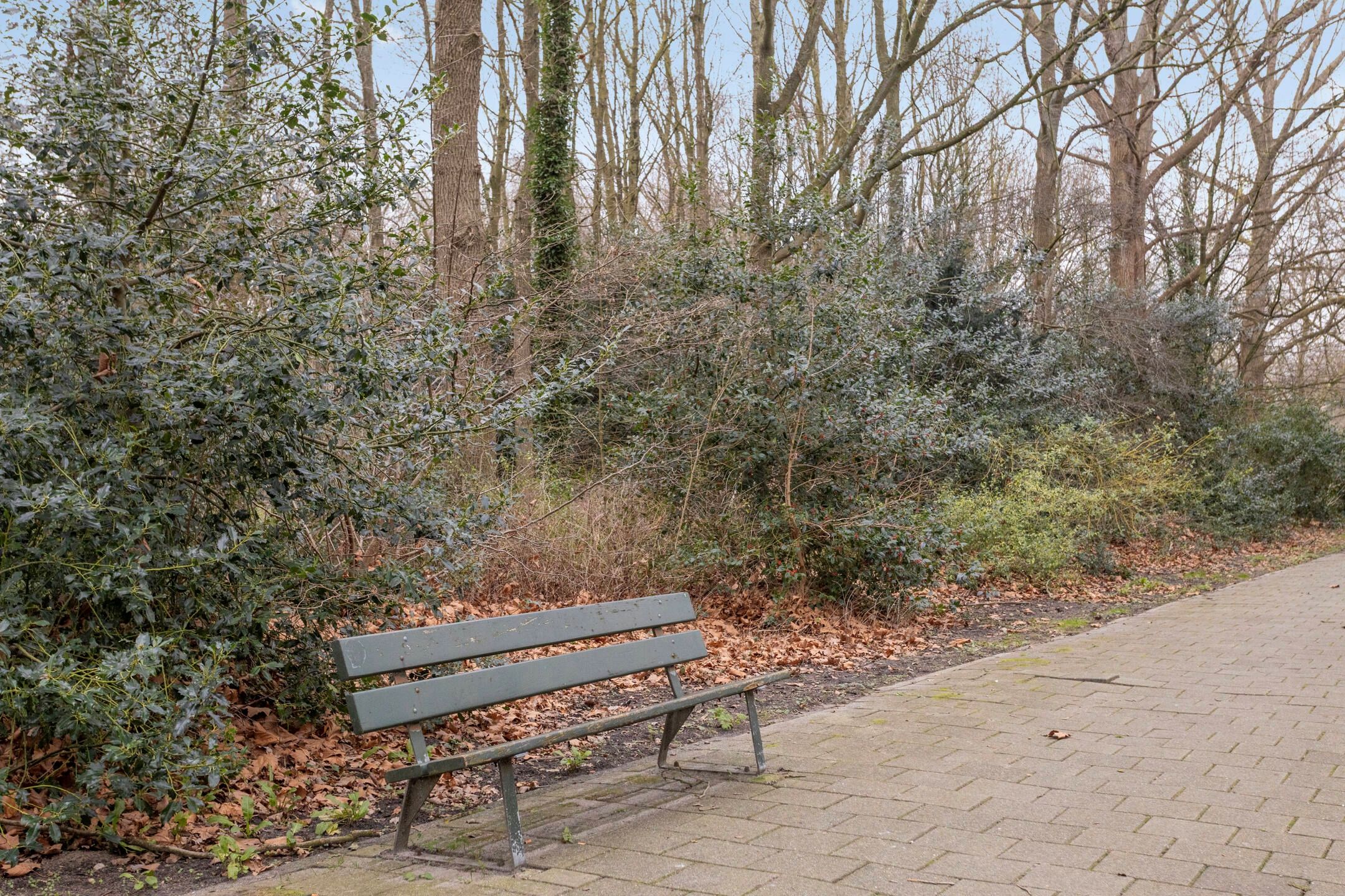 Foto 21 van Van Nijenrodeweg 6