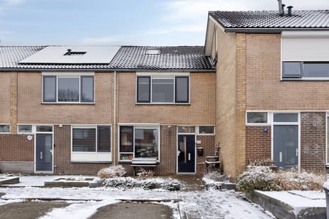 undefined main image