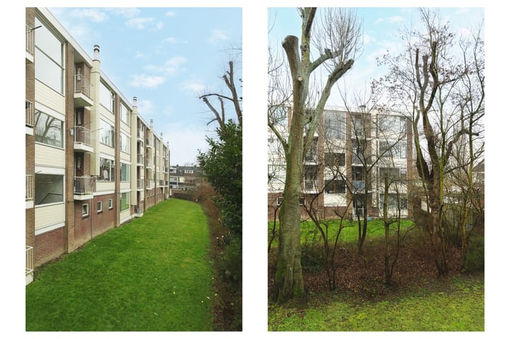 Foto 6 van Gerard Doustraat 7