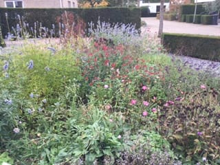 Photo 53 of Kortenhorststraat 17