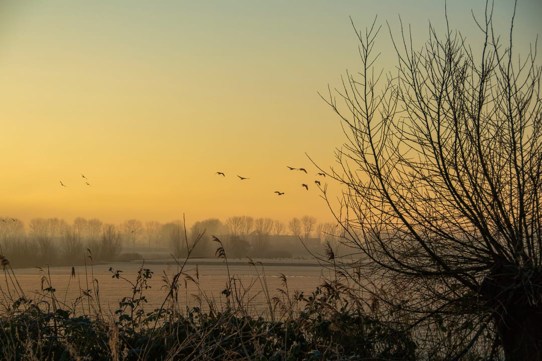 Photo 37 of Noordschans 18