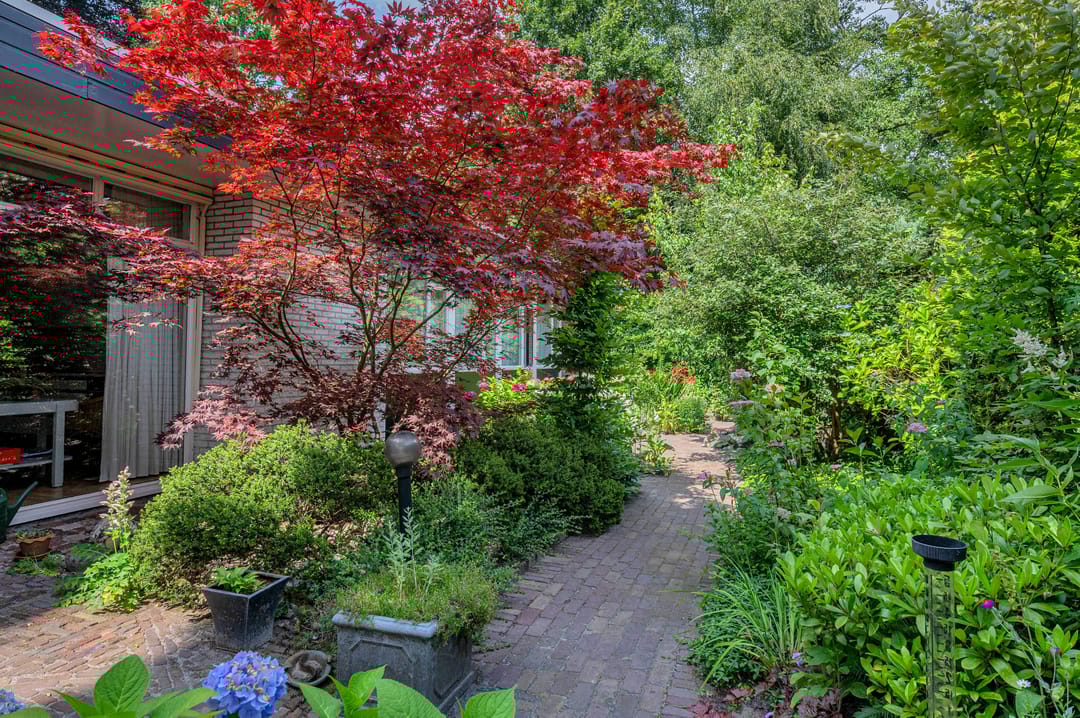 Foto 46 van Rembrandtlaan 5