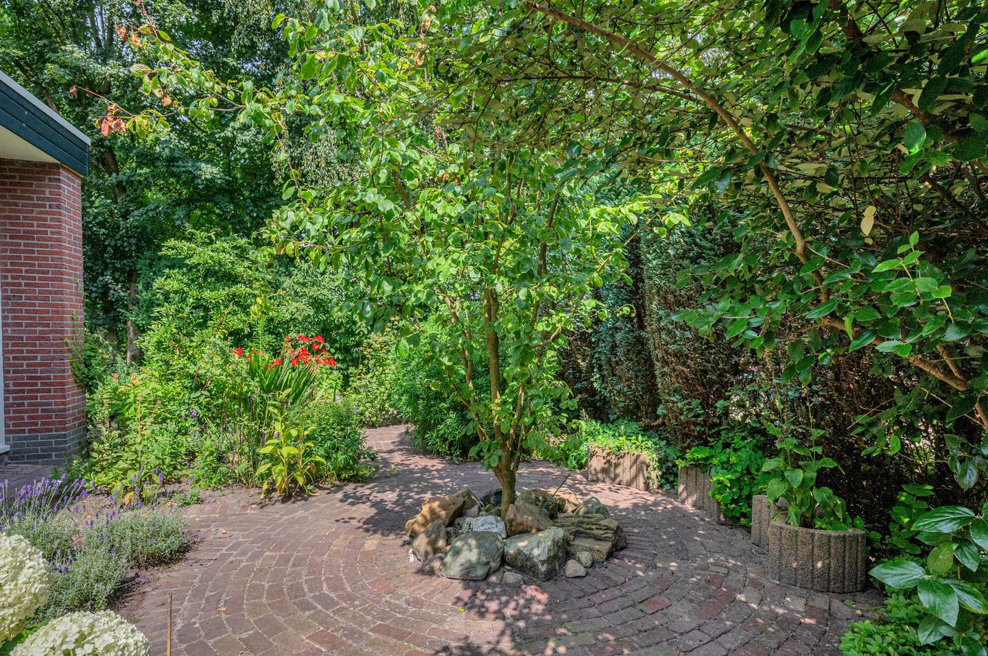 Foto 50 van Rembrandtlaan 5