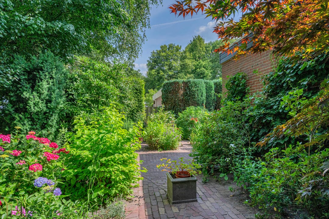 Foto 56 van Rembrandtlaan 5