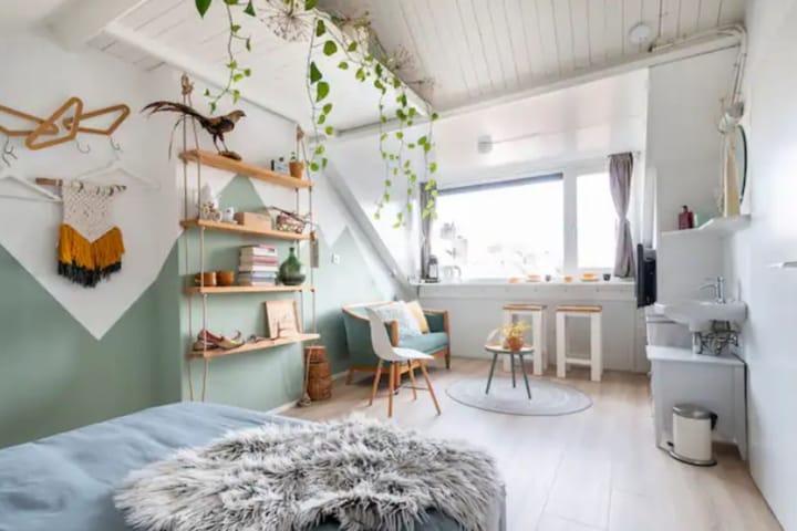 Photo 9 of Dorenbos 11