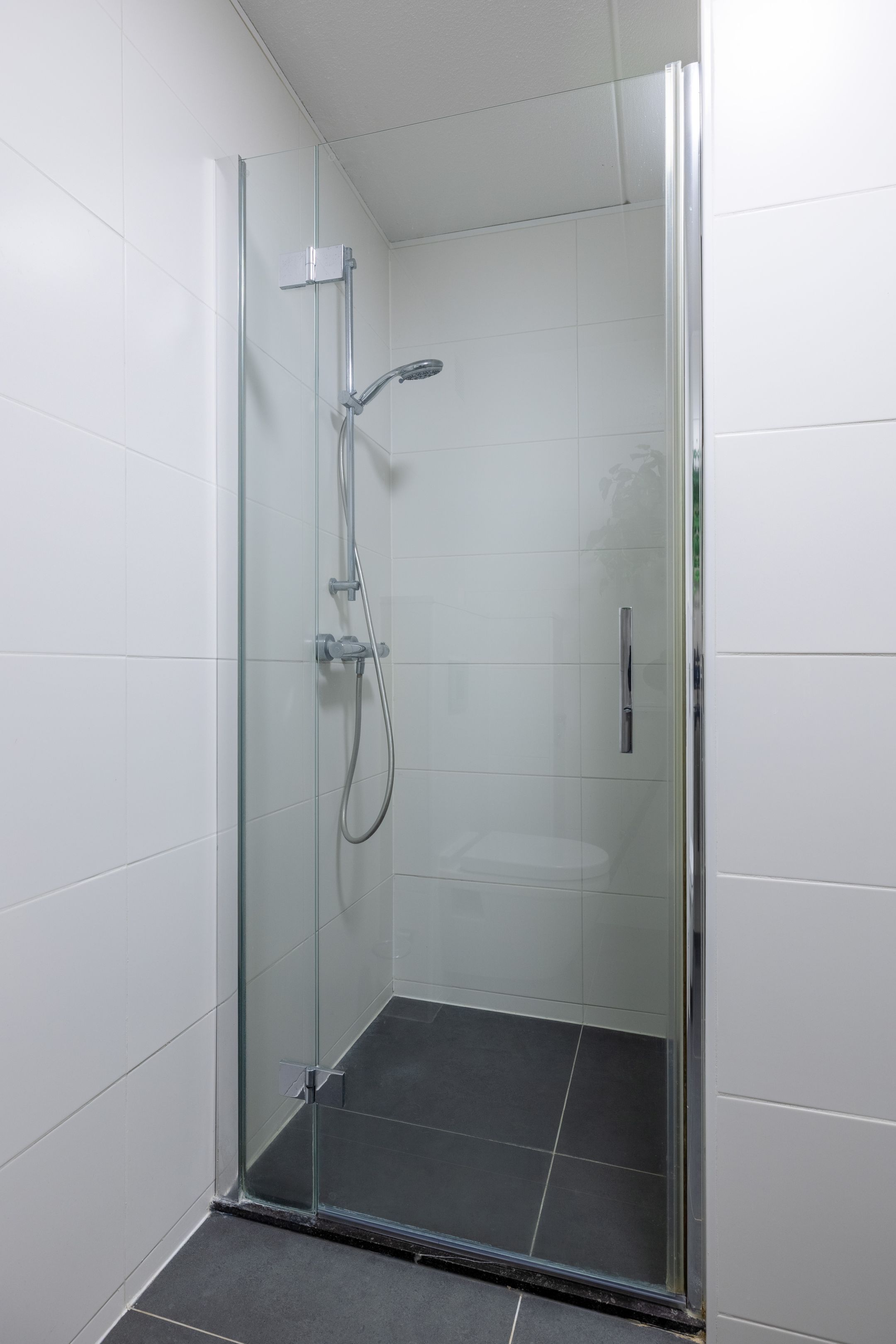 Foto 36 van Zilverschoon 14