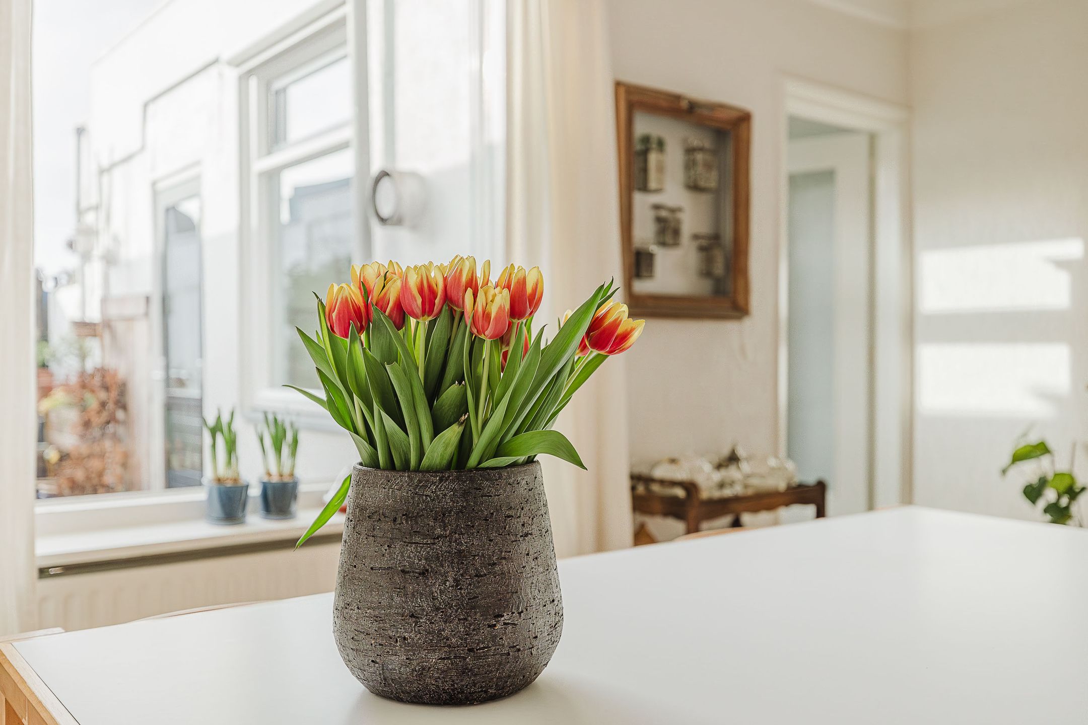 Foto 15 van Willemstraat 66