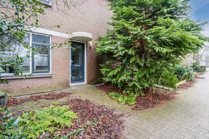 Foto 5 van Grutto 32