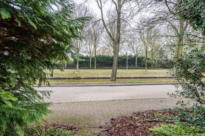 Foto 6 van Grutto 32