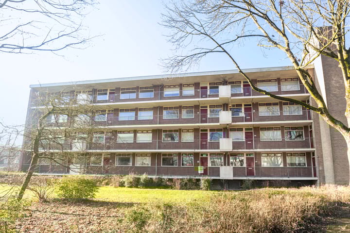 Foto 24 van Groen van Prinstererstraat 103