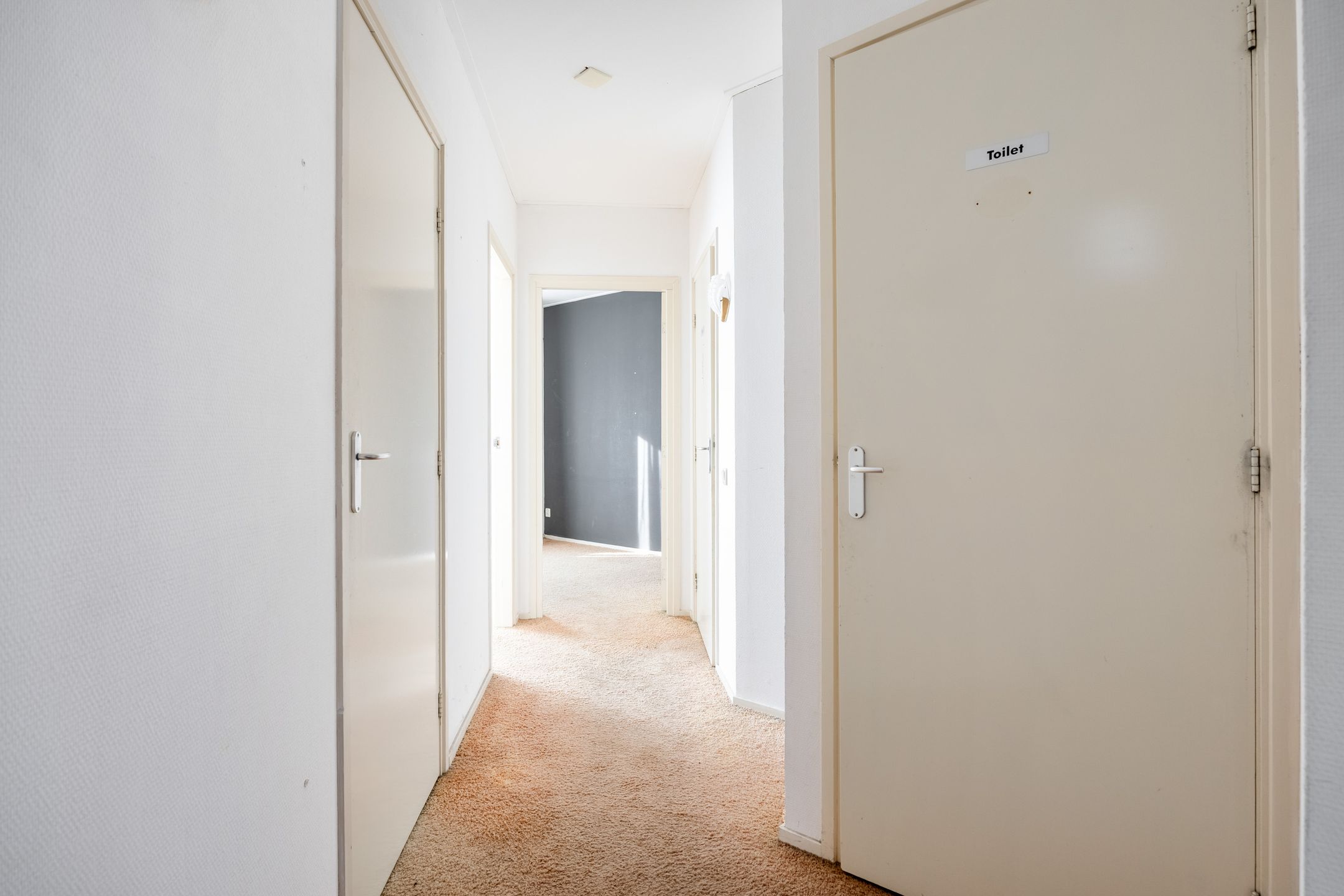 Photo 33 of Zilverstraat 43
