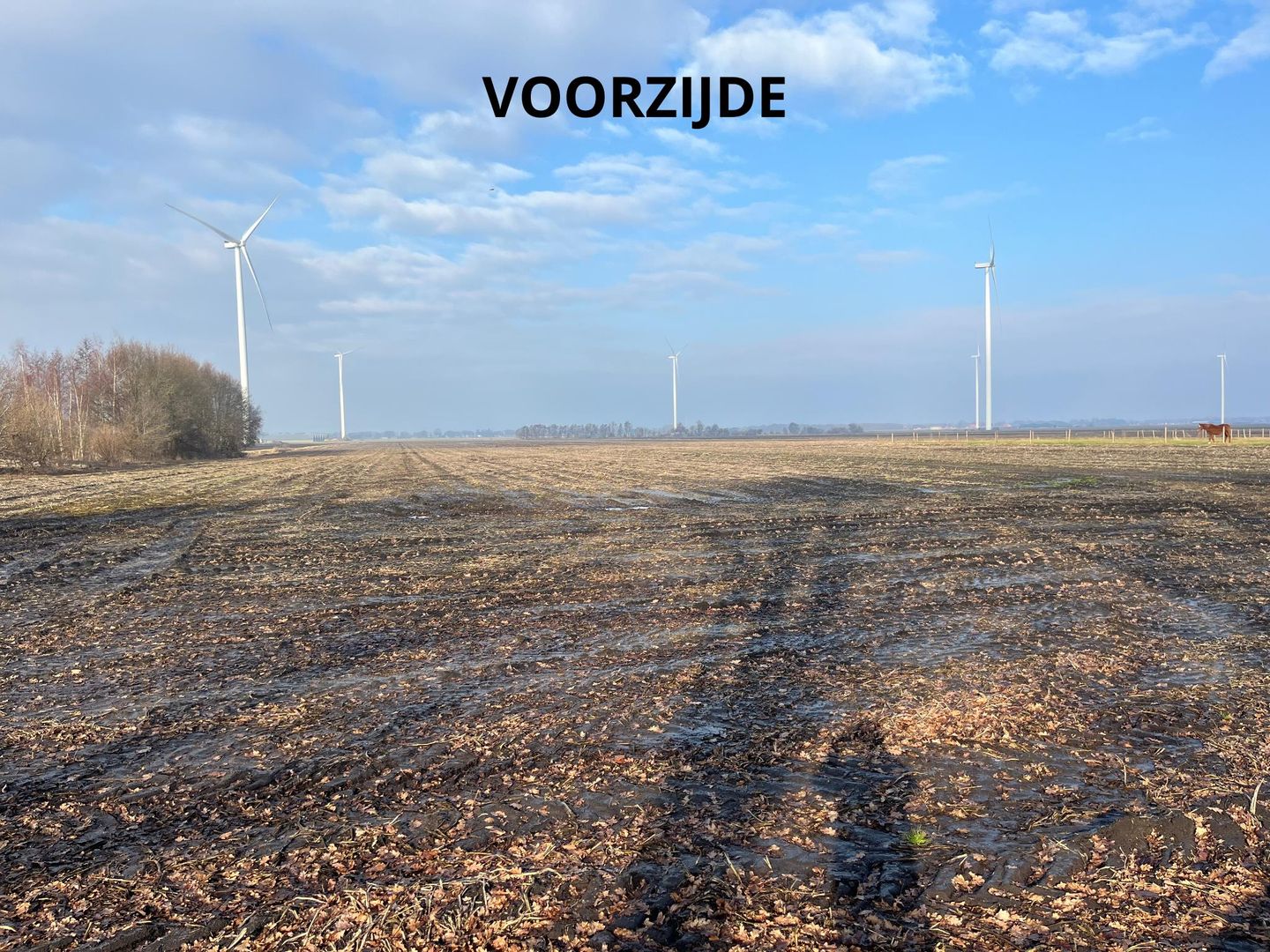 Bekijk foto 2 van 1e Exloërmond