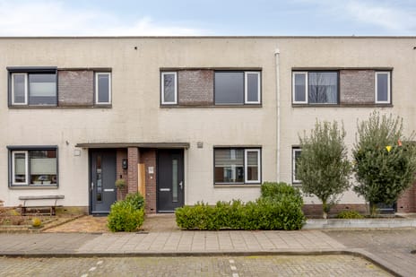 Straatweide thumbnail