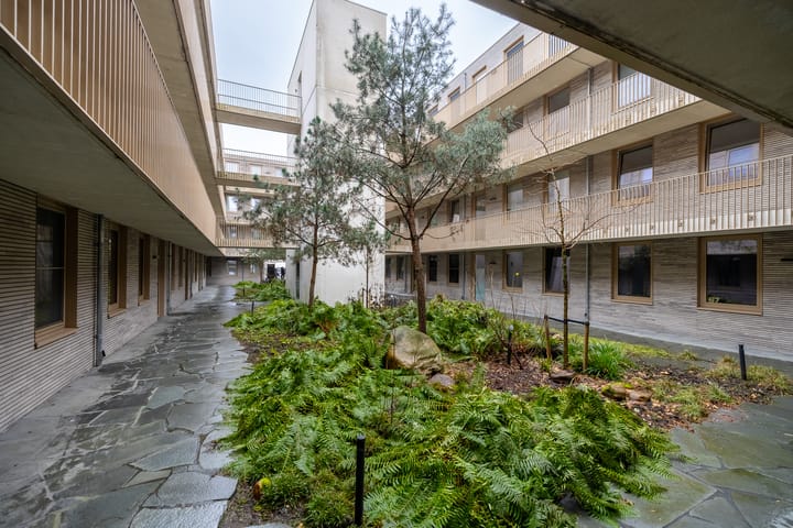 Foto 32 van de Veentjes 137