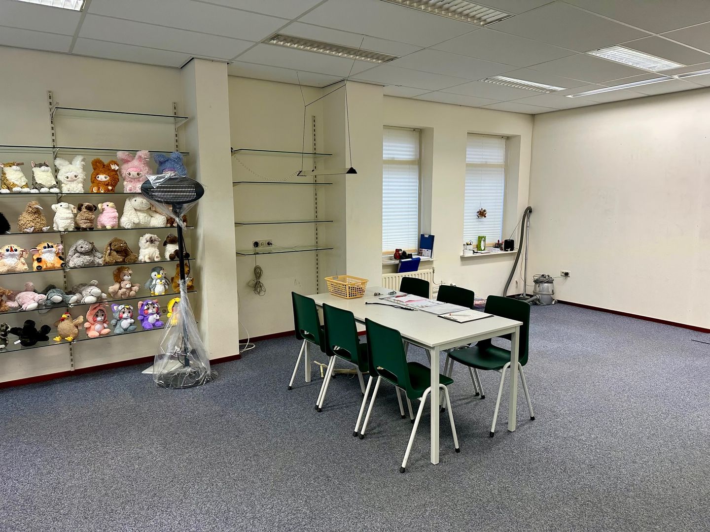 Bekijk foto 3 van Mgr. Zwijsenplein 30