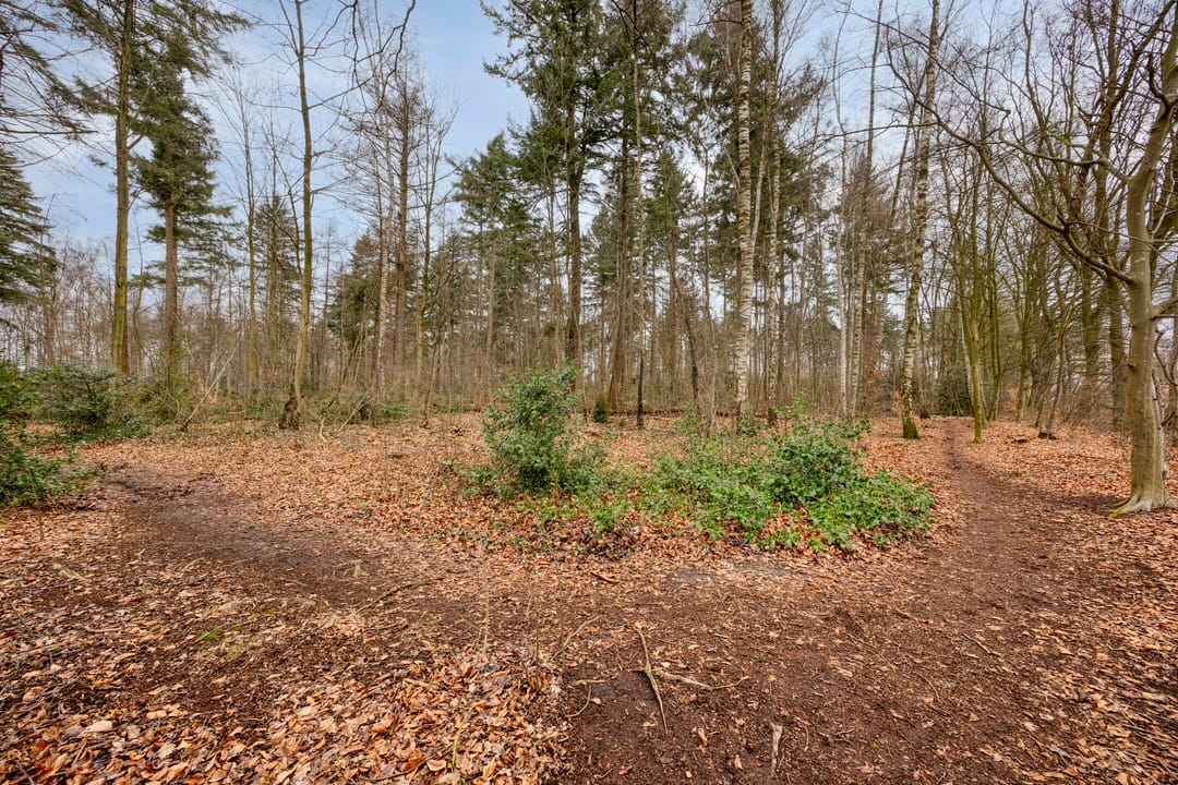 Foto 31 van Johan Roebersstraat 102