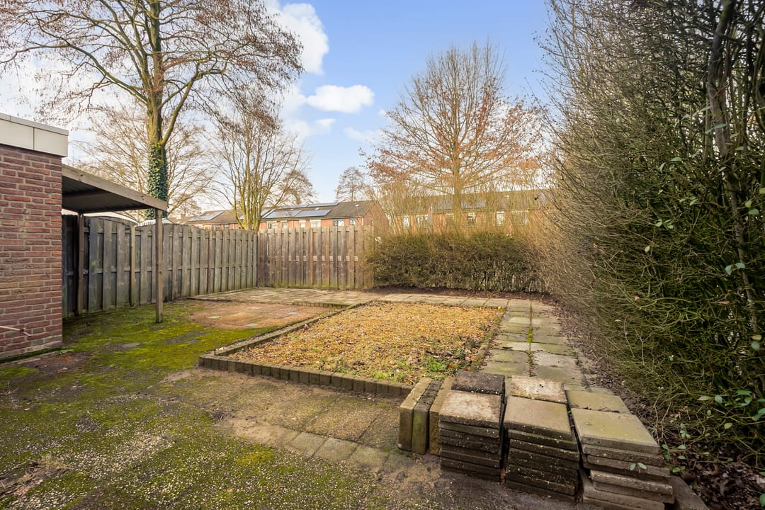 Foto 22 van de Meidoorn 27