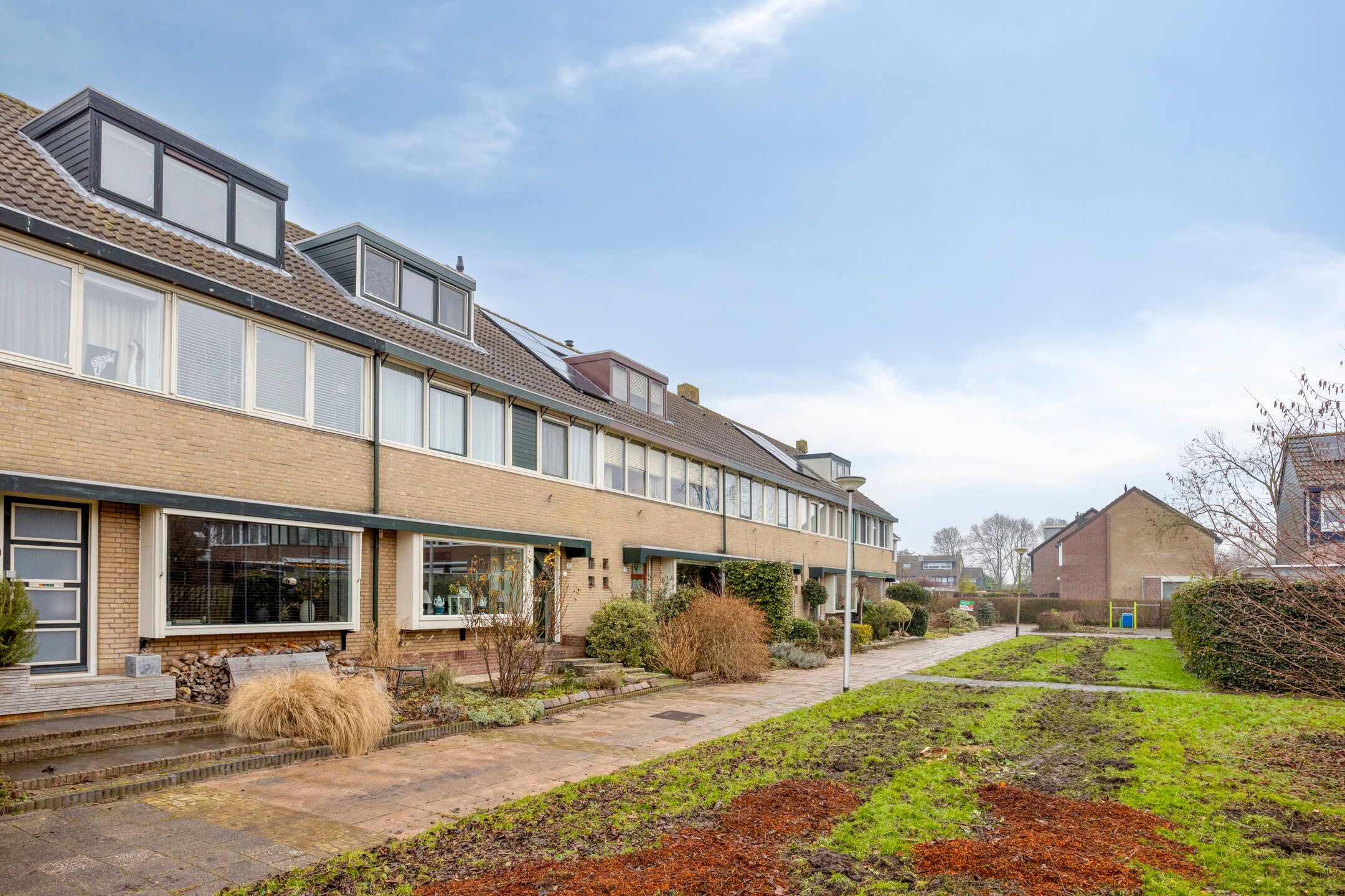 Photo 30 of Weegbree 75