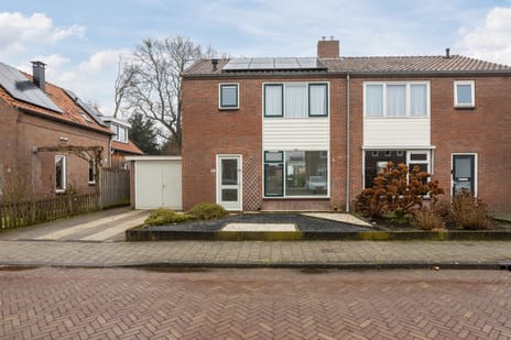 undefined main image