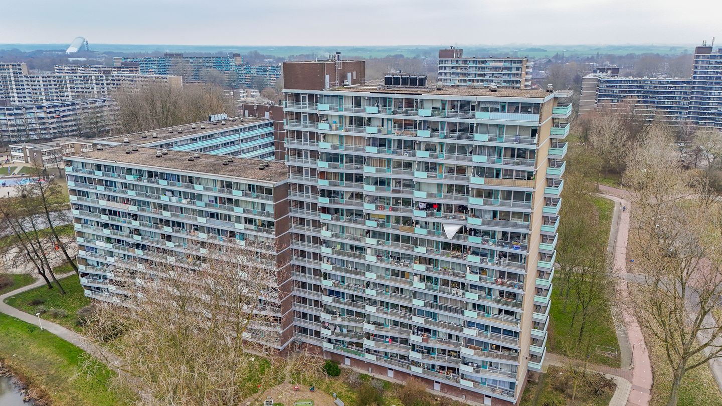 Foto 29 van Alferbos 42