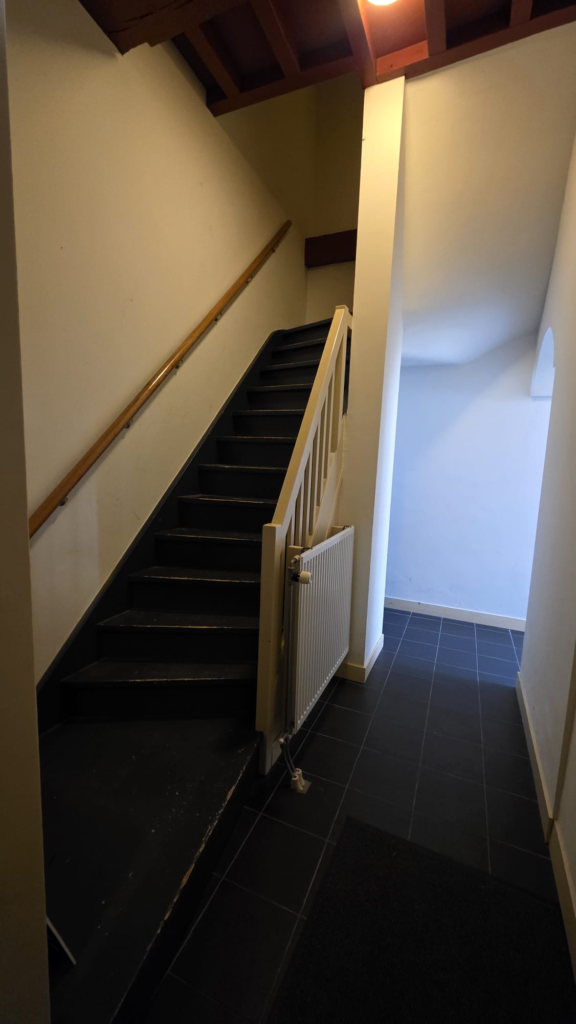 Photo 4 of St. Agnietenstraat 19-B