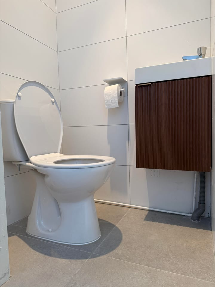 Foto 4 van Plantage 155