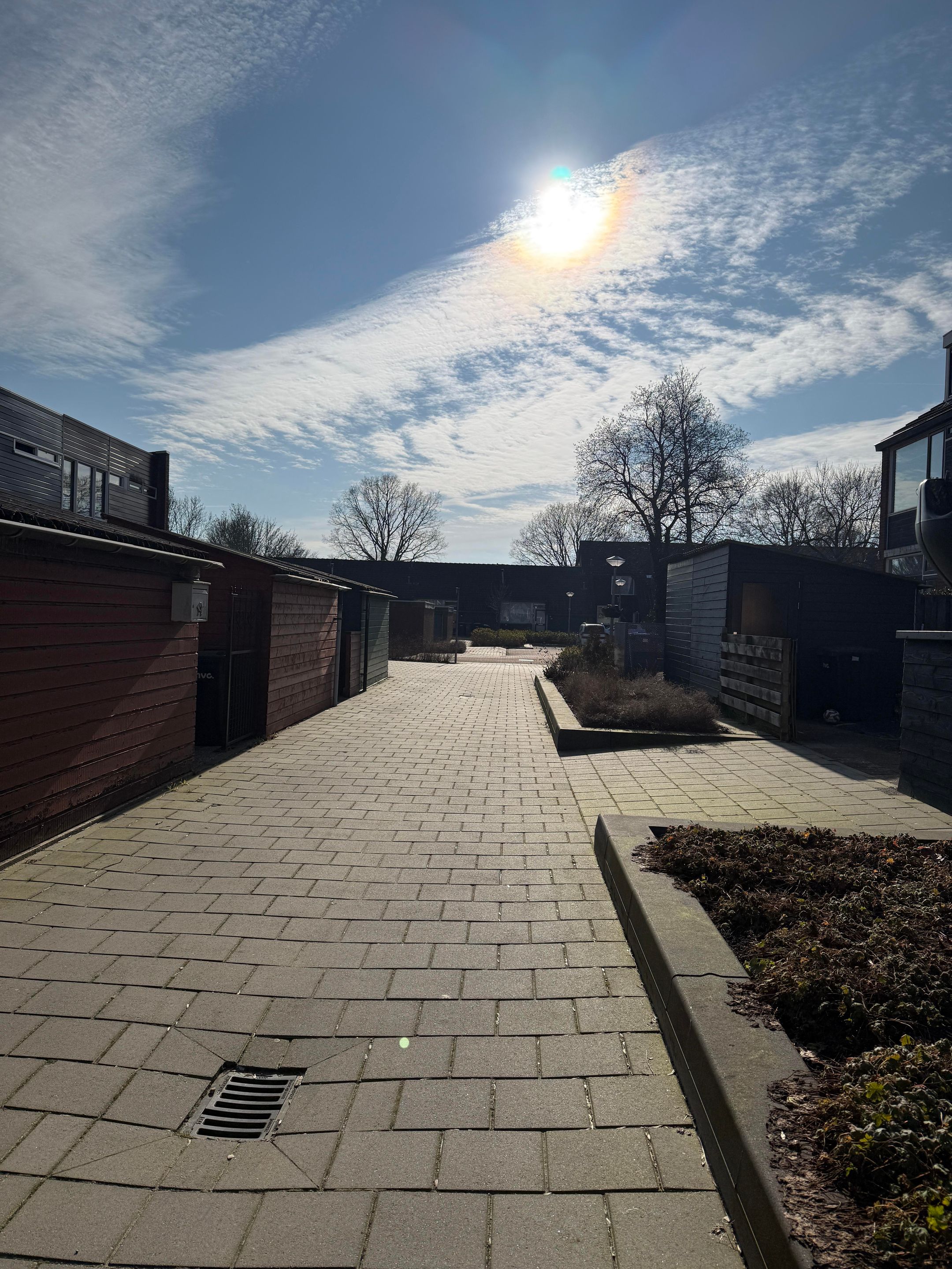 Foto 24 van Plantage 155